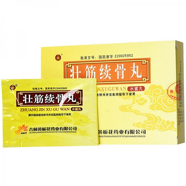 壮筋续骨丸