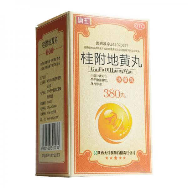 桂附地黄丸(浓缩丸)