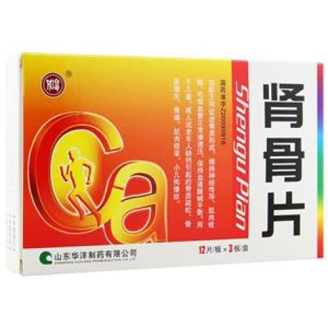 肾骨片